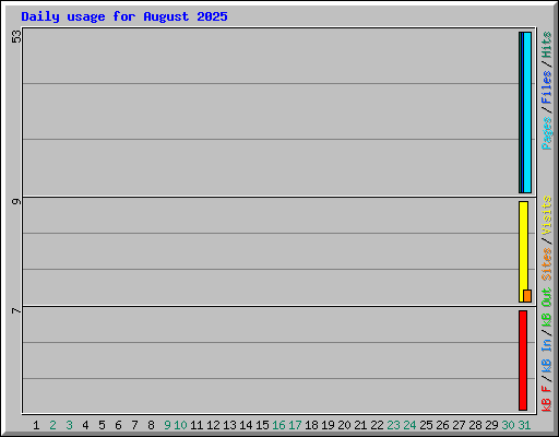 Daily usage for August 2025