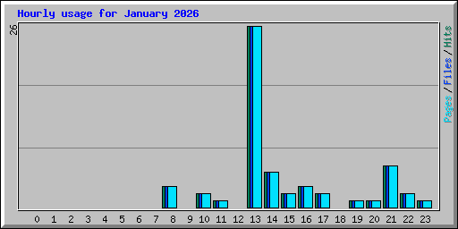 Hourly usage for January 2026